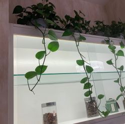 -诗媛嘉美健康管理中心(金桥店)