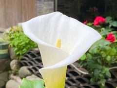 -海窝子古镇