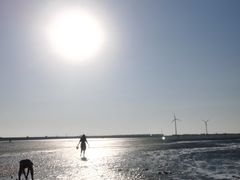 -奉贤海滩