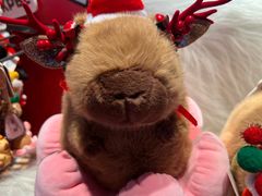 -酷乐潮玩(金桥国际店)