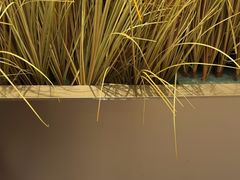 -星巴克(万都店)