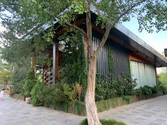 -昆山城市生态森林公园