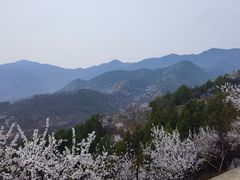 -北京鹫峰国家森林公园