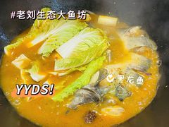 -老刘生态大鱼坊铁锅炖鱼(赛马场店)