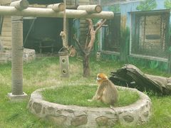 -西安秦岭野生动物园