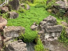 -重庆园博园