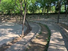 -东方巨龟苑景区