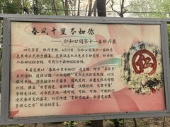-仁和公园(顺义区)