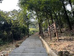 -火炉山森林公园