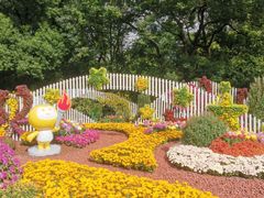 -上海共青森林公园