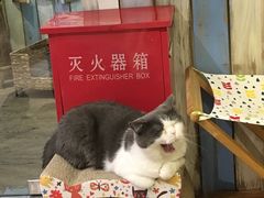 -小时光咖啡馆(开森度假森林店)