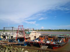 -大湾区中央湿地公园-十九涌