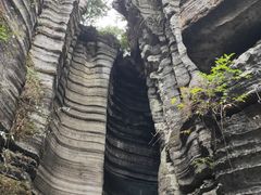 -梭布垭石林景区