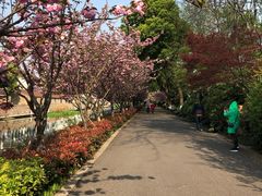 -圩墩遗址公园