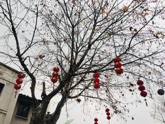 -中国丝业博物馆