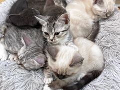 -觅时光手作·香薰·拼豆豆·陶艺DIY