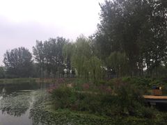 -东郊湿地公园