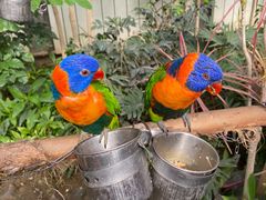 -南宫五洲植物乐园