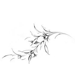 -针牛刺客·刺青纹身