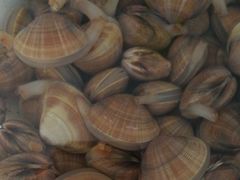 -宾朋海鲜特色美食餐厅·纯手工鲅鱼水饺(兴海路店)