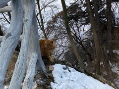 -终南山南五台景区