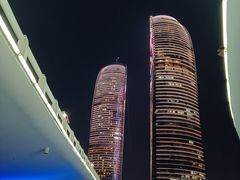 -演武大桥观景平台