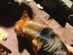 -老三烧烤(二环西路店)