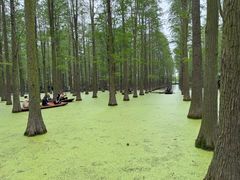 -渌洋湖湿地公园
