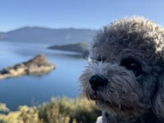 -丽江泸沽湖景区-里格半岛