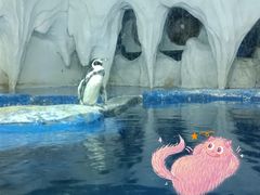 -太平洋海底世界