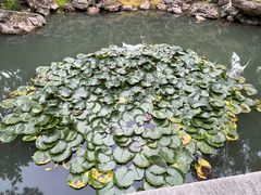 -承德避暑山庄景区