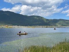 -腾冲北海湿地