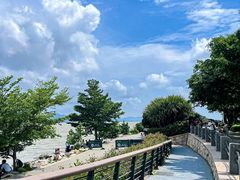 -深圳湾公园(南山区)
