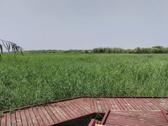 -西青郊野公园