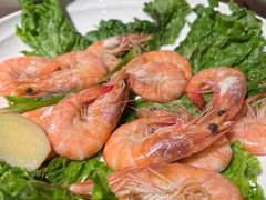 -鸽子窝(青塔店)