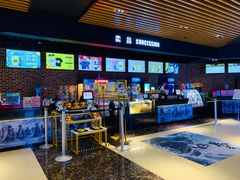 -SFC上影百联影城(川沙IMAX店)