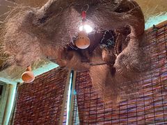 -泥糊破店小酒馆·团建聚餐(南京西路店)