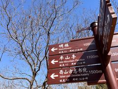 -北京西山国家森林公园