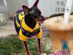 -小意思咖啡店(草桥店)