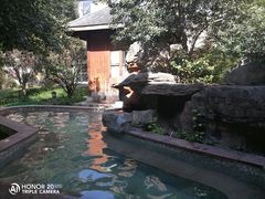 -咸宁万豪温泉谷度假区