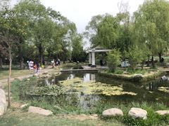 -郑东新区湿地公园