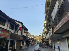 -孙奶奶葱包桧