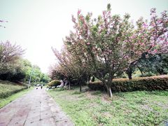 -武汉园博园(武汉自然博物馆)