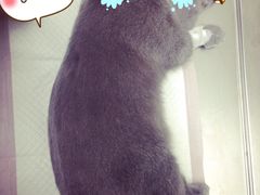 -康乐宝动物医院