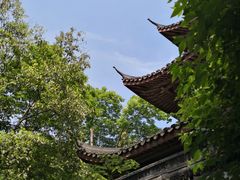 -西湖外事游船(花港观鱼码头)