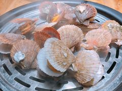 蒸海鲜-77号渔船·蒸海鲜青岛菜(积米崖店)