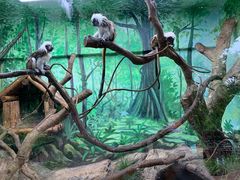 -野生动物园-停车场