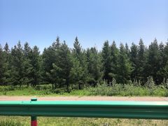 -御道口草原森林风景区
