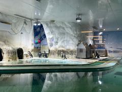 -北戴河圣蓝海洋公园