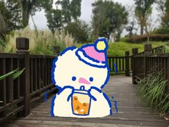 -九科绿洲